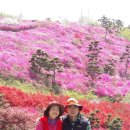 경천 농장 이미지