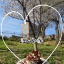 - 사슴히의 카페투어: 인천 고양이똥 카페 진짜후기 (벚꽃카페, 목련카페, 분위기좋은카페, 야외테이블...