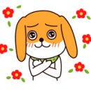 하나청과유통