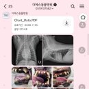 더에스동물병원 이미지