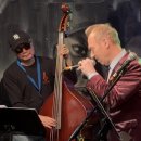 Wim Hoste 공연중 이미지