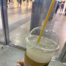 초일기획 | 취준생의 하루log 맞겠죠..?