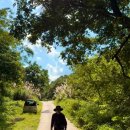 노동경로당 | 다리에쥐가나는이유 혈액순환 관리 후 다리저림 사라진 후기