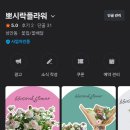 뽀시락플라워