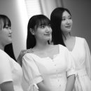 동백꽃사진관