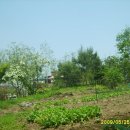 교도소 앞 이미지