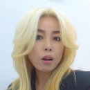무궁화미용실 네이버블로그