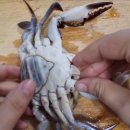 신진도수산 이미지