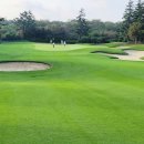 테디벨리 이미지