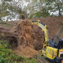 창리농장 이미지