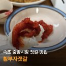 속초 중앙시장 젓갈 맛집 추천 밥도둑 황부자젓갈 후기
