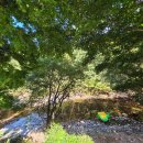 가야산휴펜션 이미지