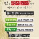올쿠