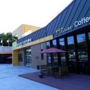 대파니 힐링팜 이미지