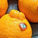 민우네농장 이미지