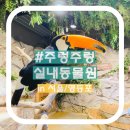 [서울/영등포역] 타임스퀘어 실내 놀거리 데이트코스 주렁주렁 동물원 영등포점 주말나들이