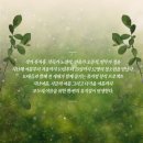 나를 닮은 여름에게 이미지