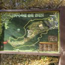 제239차 정기산행 달성 천수봉 산행 이미지