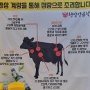 온천장양곱창 쫄깃하고 고소함에 반하는 천일양곱창