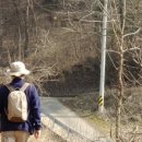 효석문학100리길 제4구간 이미지