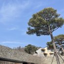 옹기골길 | 홍천 1박2일 코스] 프레스티지 스위트룸 상세 후기 및 세이지우드 가는 길 점심 하기 좋은 찐맛집 추천