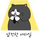 연화산반딧불이캠핑장 이미지