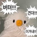 평화안과의원 | 울산 [평화안과] :: 저세상 쫄보의 콩다래끼 수술 후기 feat.따뜻한 간호사님...