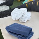 516로 | 서귀포 숙소 벨룸리조트 진짜 좋음 내돈내산 후기 - 온수풀, 수영장, 준비물