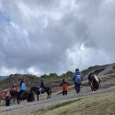 아시아86노래뮤비방 | 하노이, 코펜하겐식 이별 실력