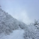 1904회 설악산 1,708m(강원 속초) 2017년 2월 12일 이미지