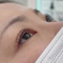 합성동310 | [마산 합성동] ‘예뻐서지뷰티’에서 받은 속눈썹펌 솔직 후기