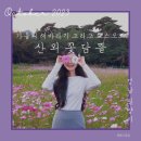 꽃뜰여행 이미지