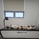 대구요양원 | 봄샘요양원 방문 후기, 마음이 놓였던 대구요양원 선택