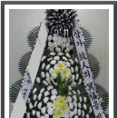 의료법인희명의료재단 이미지