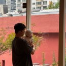 블로마 | 대구 아기랑 같이 가기 좋은 대구 대형 카페 피카커피 진천점 내돈내산 솔직 후기