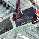 J가 되고 싶은 P의 부산 여행