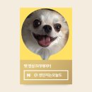 일미리금계찜닭노작점 이미지