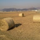 로하스농장 이미지