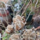 함덕연세의원 이미지