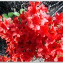 녹동주유소 이미지