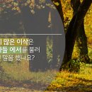 창세기 27:1~14 말씀을 잊은 이삭, 말씀을 이루는 리브가 이미지