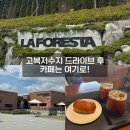 라포레스타 - 마포구 신촌로6길 23 | [세종시/연서면] 카페 라포레스타 후기 | 고복저수지 드라이브 후 가기 좋은 정원카페