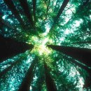 사대한의원 이미지