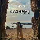 스테이 해옥 | 태안 가볼만한 곳 파도리해수욕장 해식동굴 방문 후기(주차, 물때 확인)