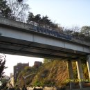 과천청사역 11번 출구 뒤 이미지