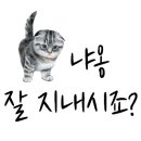 코코실업 이미지