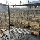 맨션애플트리 이미지