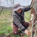 김기수 농장 이미지