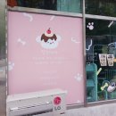 펫츠까까 이미지