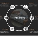신비로숯침대 - 사하구 낙동대로 387 | 신비로숯침대